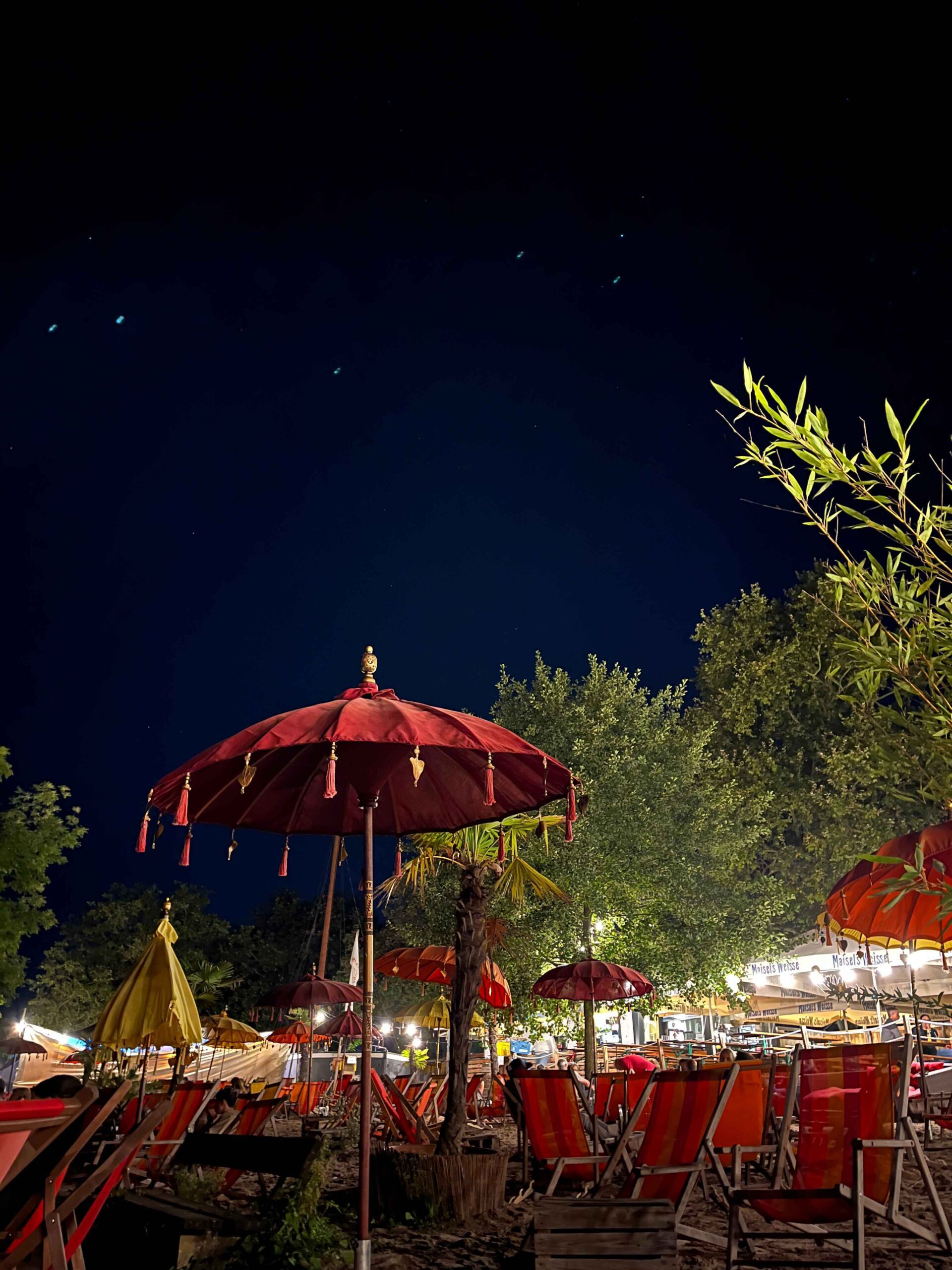 Mehr über den Artikel erfahren Rheinstrand Speyer: Deine perfekte Location am Rhein