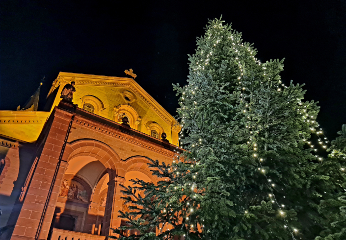 Mehr über den Artikel erfahren Dein ultimativer Guide zum Weihnachtsmarkt in Weinheim